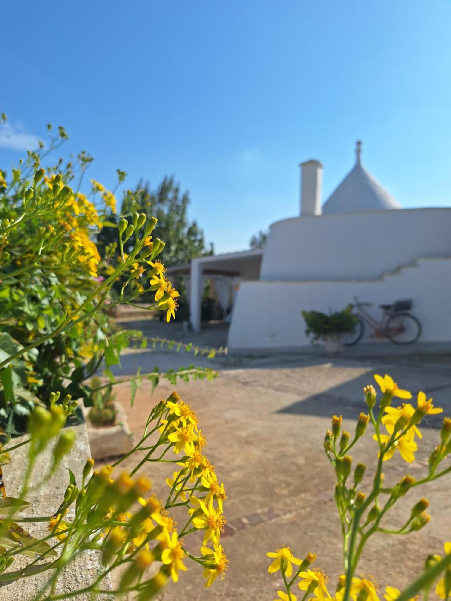 Holiday Home Trullo Antico Ostuni Εξωτερικό φωτογραφία
