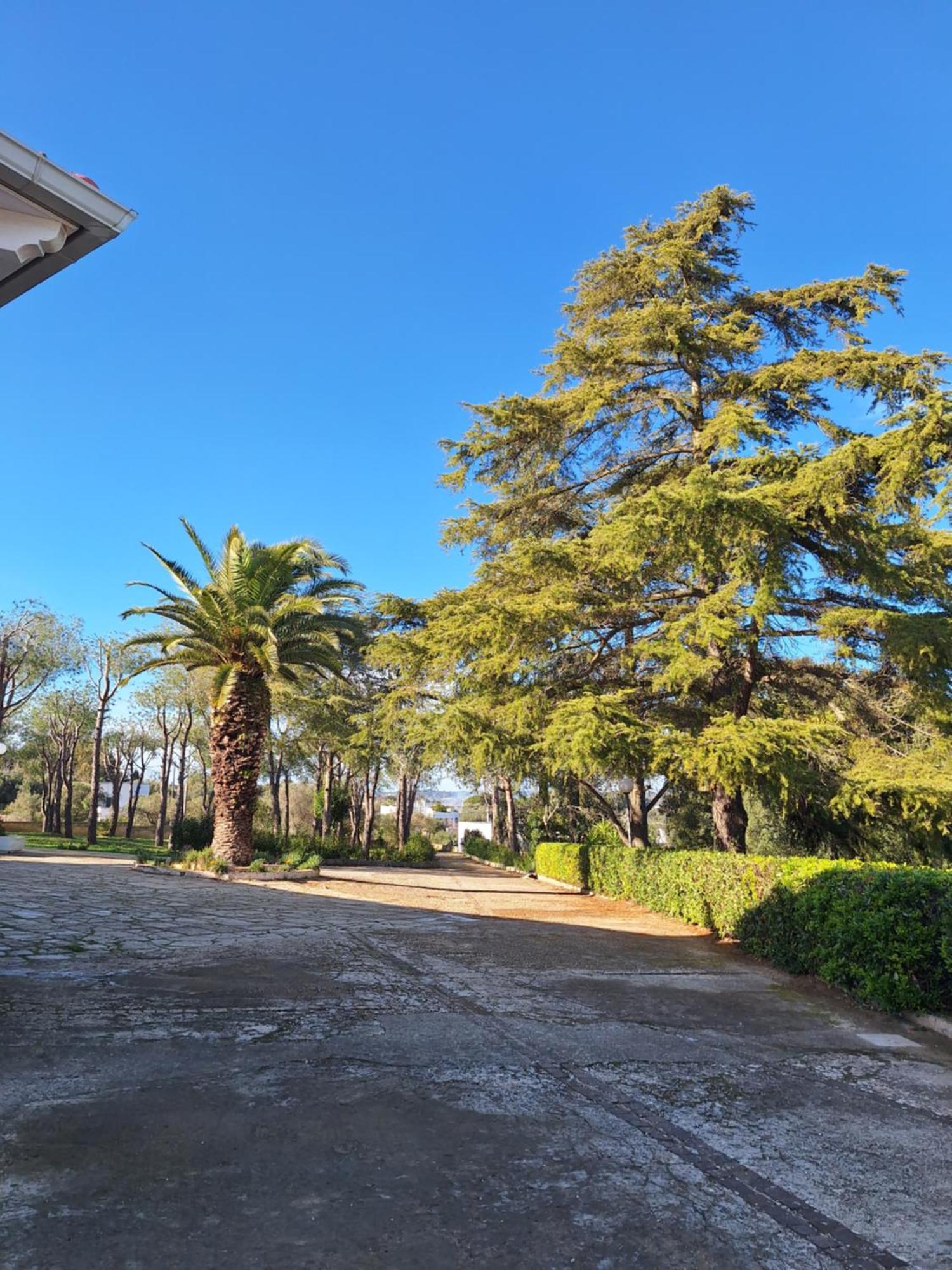 Holiday Home Trullo Antico Ostuni Εξωτερικό φωτογραφία